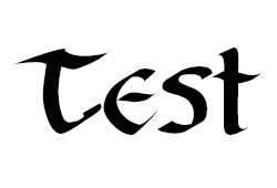 Test Co., Ltd.